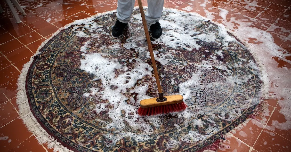 carpet cleaning services in kimbo