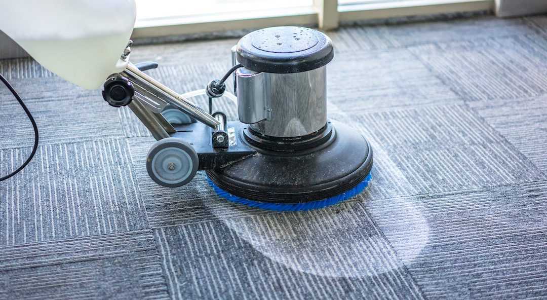 carpet cleaning services in ridge ways